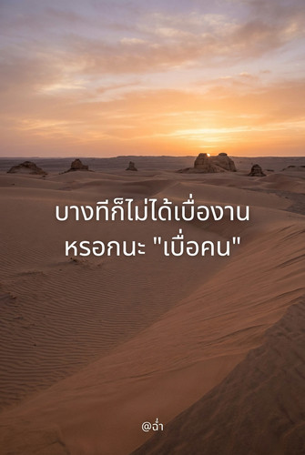 d043efc3c790.jpg