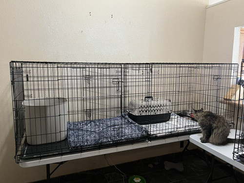 G 5Qk5AXAAEShH ?format=jpg.jpg