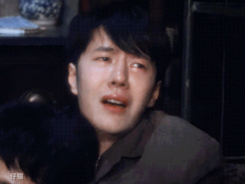 IMG 3532.gif