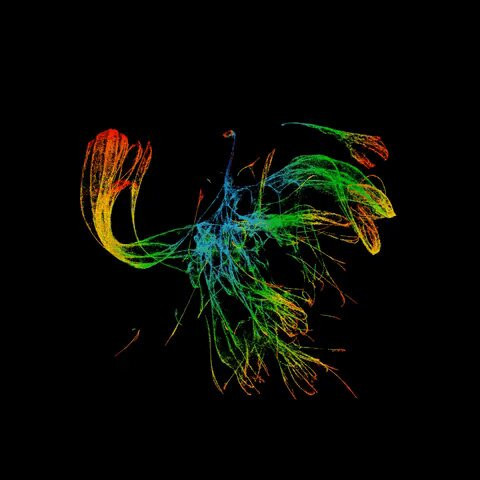 BLuVrlUYmzwT 71j.jpg