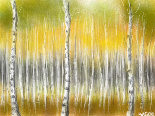 frame 1768701377.png