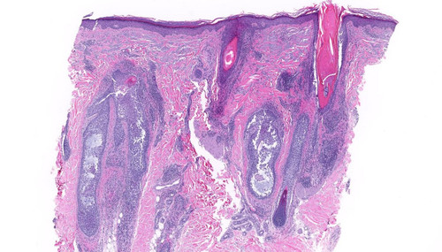 G 3K0SQXkAAODFj?format=jpg.jpg