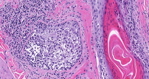 G 3K0PDWEAAlxkr?format=jpg.jpg