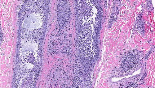 G 3K0QGWUAAYjnJ?format=jpg.jpg