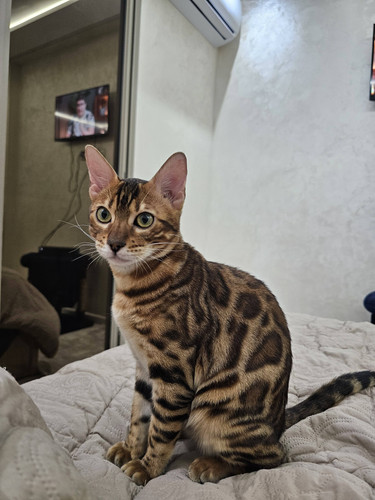 617077620 10161972475156566 2592764485068683586 n.jpg