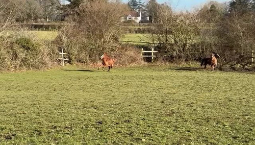 QqD6wq1Avea oYkM.jpg