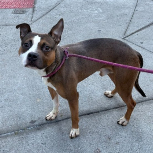 G MaDqjaMAAdGZL?format=jpg.jpg