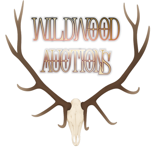 photostudio 1768704848740.png