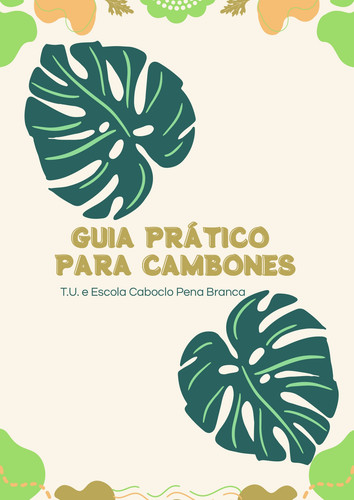 GUIA DE CAMBONAGEM 20250802 125606 0000 page 0001.jpg