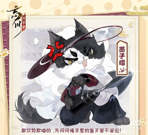 Camera 1040g3k031n10cih4kq005on568knqhb0lovllgo.jpg