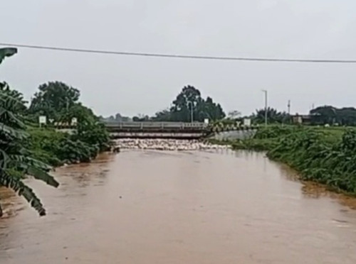 Screenshot 2026 01 18 19 38 41 86 40deb401b9ffe8e1df2f1cc5ba480b12~2.jpg