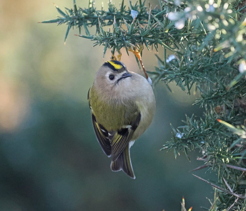 G 7eiXuXgAAe9Fd?format=jpg.jpg