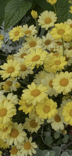 G 7XHYiXEAEZCr6?format=jpg.jpg