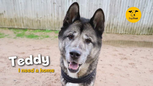 2vort 9EvfghxUxp.jpg