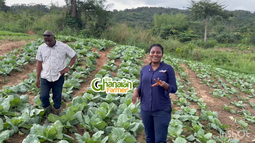 FZJax TaFbLUMfdp.jpg