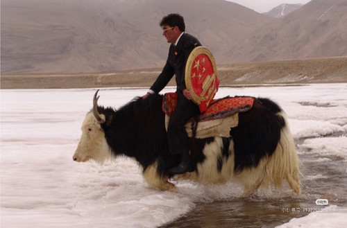 Camera XHS 17687400491661040g008315m9m9uj2o405pb4ge1206vllpia9d8.jpg