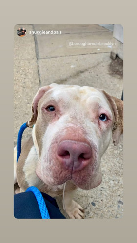 G 4H yUXsAEQoRA?format=jpg.jpg