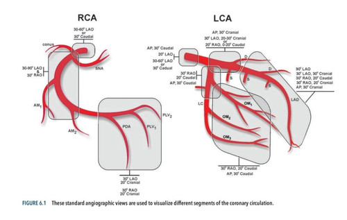 G 4ytlhWsAE qg5?format=jpg.jpg