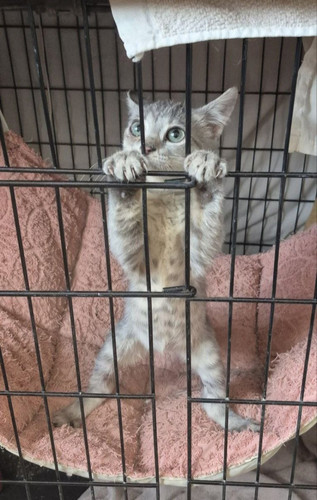 G 8Z3QNWEAARuQD?format=jpg.jpg