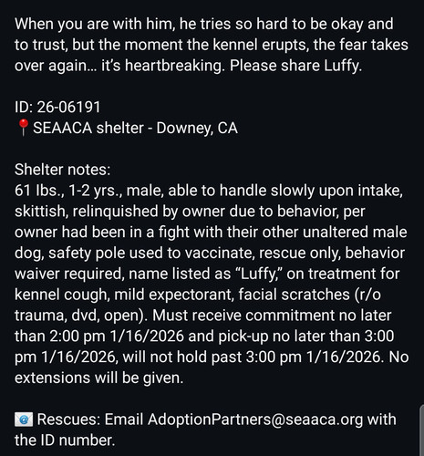 G 4UZHnXMAAd Pt?format=jpg.jpg