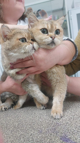 G nxrURa4AAa1R2?format=jpg.jpg