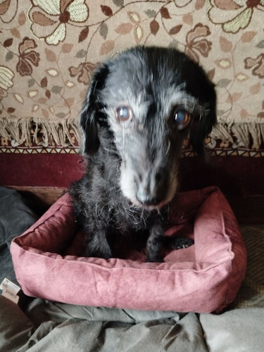 G 74S3JWIAApjBu?format=jpg.jpg