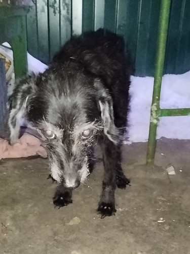 G 74MFEWsAAtuv6?format=jpg.jpg