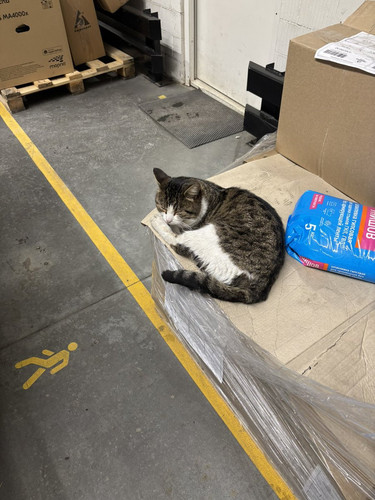 G sSqzhaYAA Yvw?format=jpg.jpg