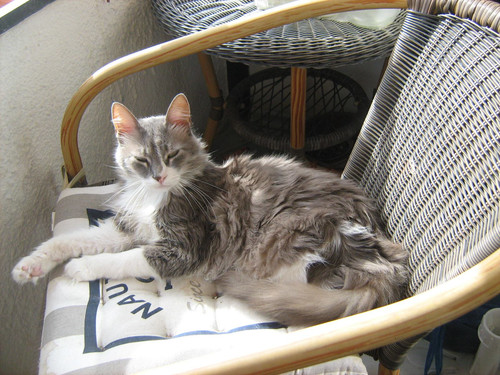 45347994 10210081413110235 5617288199161249792 n.jpg