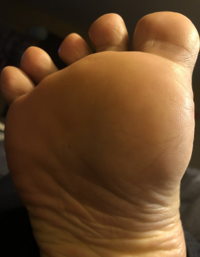 628927.jpg