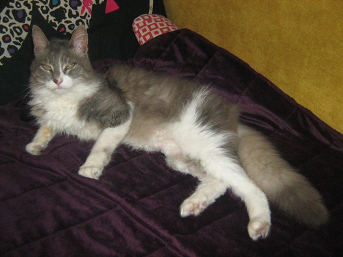 65124925 10211248535527566 4269410681515671552 o.jpg