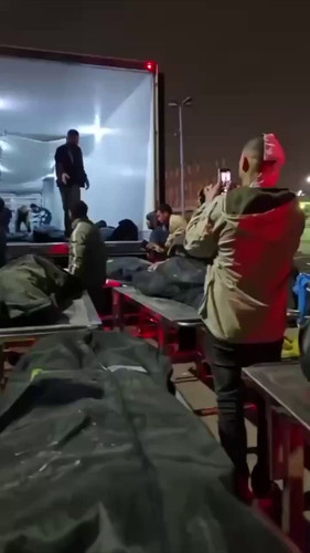 7v yIKZj2shcohdz.jpg