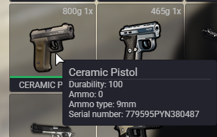 FiveM GTAProcess xJ4ZV9qS5U.png