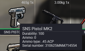 FiveM GTAProcess 4dYX4tsPr3.png