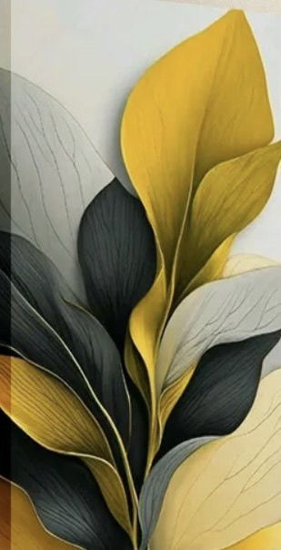 image 696b747a7155a9.47825871.jpg