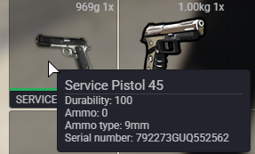 FiveM GTAProcess GyNJwpaHRc.png