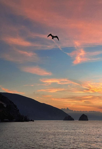 G 1TsNkW4AAklSN?format=jpg.jpg