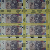 DSC08379 fo100 fr70 f710 iso100 sp1 25 orRT fmAF S ln E 70 180mm F2.8 A065 sfx 021228