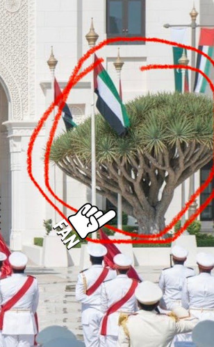 G 7W JyWcAAa TN.jpg