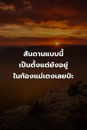 ef8cbd2077ee.webp