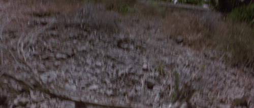 ezgif.com resize (40).gif