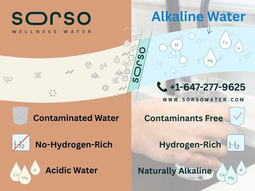 Sorso alkaline water contamination free hydrogen rich alkaline water.jpg