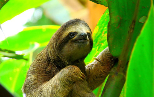 G alR4KWMAANuob?format=jpg.jpg