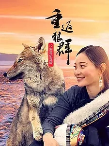 6a21d2634e4c.webp