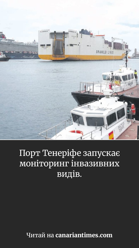 04186aca9989.png