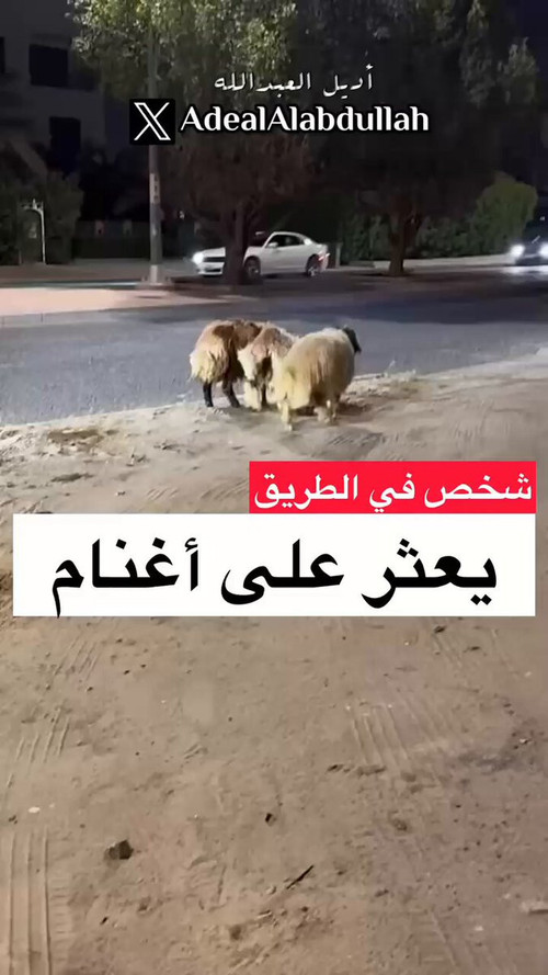 2X1mRthES PacqaO.jpg