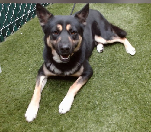 G wGb2wbQAA17qp?format=jpg.jpg