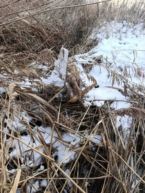 EIiO0dJN97ctwj65Kxv2CntuSbM5a0Y2FRGerVhl24WeY431upbi J2h6E24ek7wOzalYTB9jvsy7GAMhMDqXFL 46Qe2wwurTMu.jpg