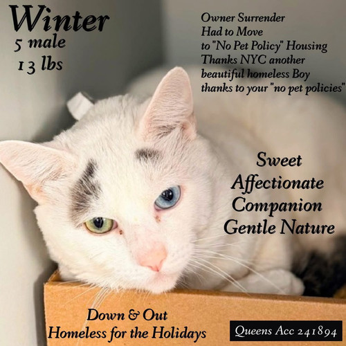 G wZym bQAsKX1S?format=jpg.jpg