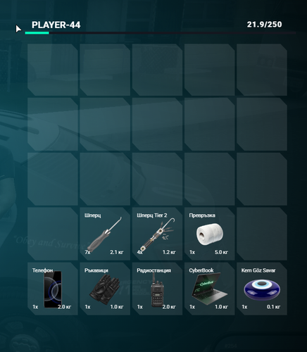 FiveM GTAProcess Oj8sNyzosi.png